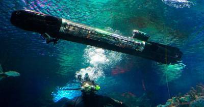 Для поиска диверсантов. В РФ испытывают беспилотные подводные дроны (фото)