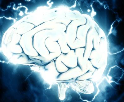 Ученые исследовали самый потаенный участок человеческого мозга