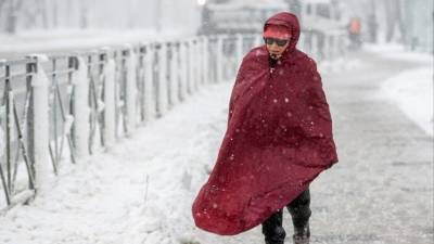 Пурга, зима и прочие неприятности: в ряде регионов России объявлен режим ЧС