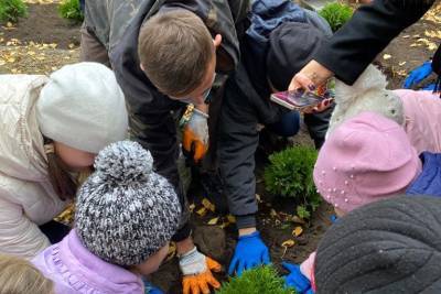 Ребят из Азовского дома-интерната научили выращивать овощи и цветы