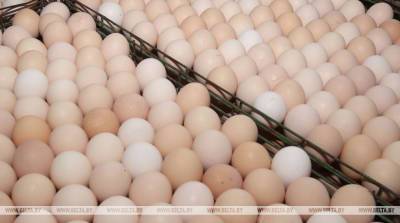 Украина впервые за 30 лет независимости импортировала яйца из Беларуси