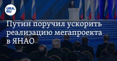 Путин поручил ускорить реализацию мегапроекта в ЯНАО
