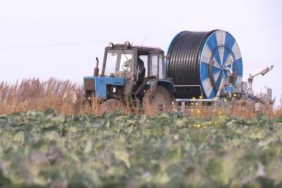 Сбор урожая продолжается в Нижегородской области