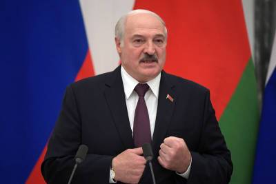 Лукашенко потребовал "вывернуть карманы у мерзавцев"