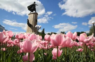 60 тысяч тюльпанов расцветут на липецких клумбах следующей весной