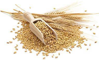 РФ к 14 октября снизила экспорт пшеницы на 18%, до 11,1 млн тонн - Минсельхоз