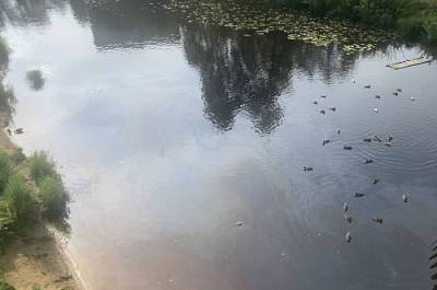 «Водоканал» Соснового Бора заплатил 250 тысяч рублей за выброс нефтепродуктов в реку Коваши