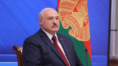 Лукашенко призвал «вывернуть карманы мерзавцев», которые наживаются на кислороде