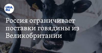 Россия ограничивает поставки говядины из Великобритании