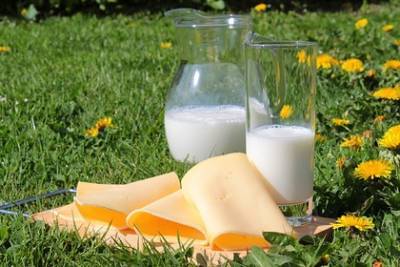 Екатерина Бурляева - Диетолог развеяла популярные мифы о молочных продуктах - lenta.ru - Швеция