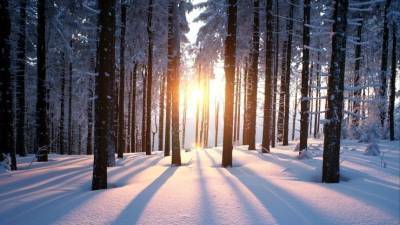 Снег и устойчивый минус: метеолорог предрек наступление зимы уже в ноябре