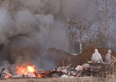 В Рыбновском районе сожгли почти 20 тонн свинины - ya62.ru - Белгородская обл. - Рязанская обл.