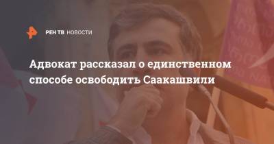 Адвокат рассказал о единственном способе освободить Саакашвили
