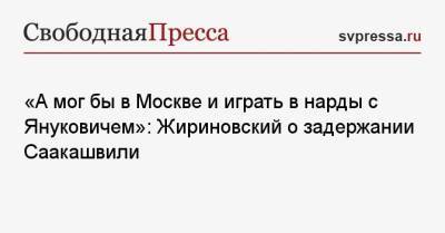 «А мог бы в Москве и играть в нарды с Януковичем»: Жириновский о задержании Саакашвили