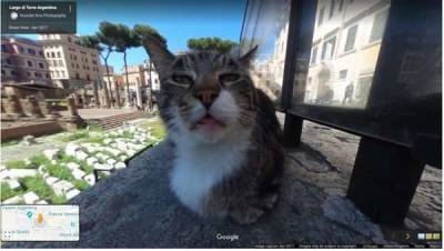 20 самых смешных и странных кадров Google Street View (18 фото)