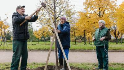 В октябре в Петербурге проведут генеральную уборку и высадят деревья