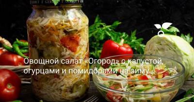 Овощной салат «Огород» с капустой, огурцами и помидорами на зиму