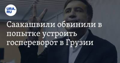 Саакашвили обвинили в попытке устроить госпереворот в Грузии