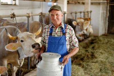 Костромские фермеры могут получить областной грант на создание животноводческого хозяйства