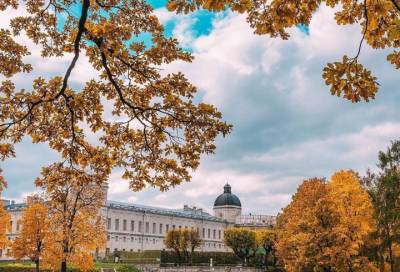 Кадры золотой осени в парке Гатчины очаровали пользователей Сети