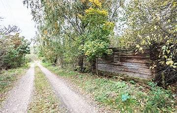 Медвежий угол: как под Минском люди живут в деревне Шабаны, которая уже давно «исчезла»