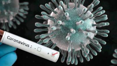 В Ленобласти выявили 240 новых зараженных коронавирусом на 2 октября