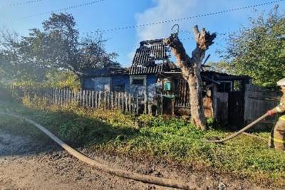 Полтора часа потребовалось пожарным на борьбу с огненной стихией в Рославле