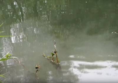 В Ряжске в реку Хупту сливают нечистоты