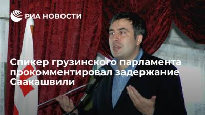 Задержание Саакашвили прошло на высоком уровне, заявил спикер парламента Каха Кучава