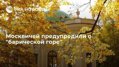 Синоптики центра "Фобос" рассказали о появлении "барической горы" в Москве