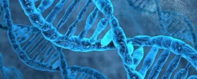 Ученые из Амстердамского университета выявили одинаковые гены ДНК у однояйцевых близнецов