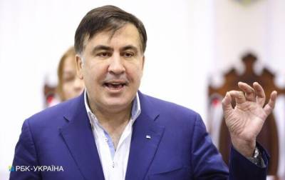 В Грузию прибыли члены семьи Саакашвили