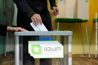 Выборы в Грузии: появились данные первых экзит-поллов
