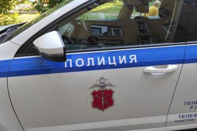 Полицейские обошли более двух тысяч петербургских квартир в поисках нелегальных мигрантов