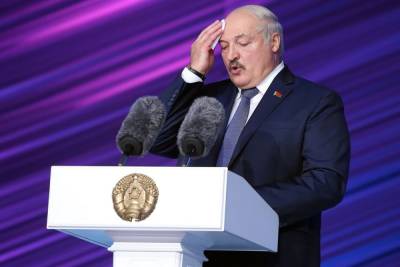 МИД Белоруссии: десяток зарубежных СМИ в очереди на интервью с Лукашенко