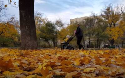 Осенняя идиллия: 3 октября погода побалует украинцев солнечным и теплым днем, где пригреет до +20