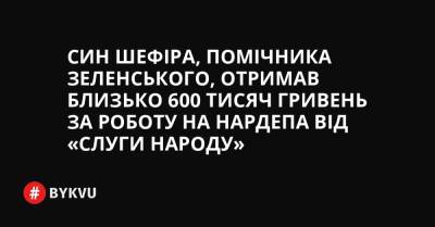 Син Шефіра, помічника Зеленського, отримав близько 600 тисяч гривень за роботу на нардепа від «Слуги народу»