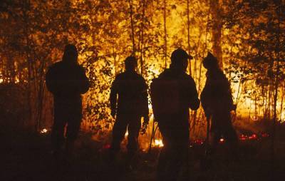 В регионах РФ за сутки потушили лесные пожары на 1 081 га