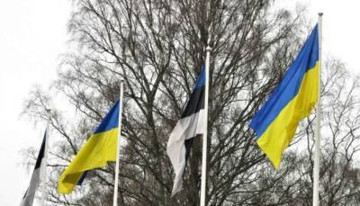 Эстония решила передать Украине опыт усиления устойчивости государства