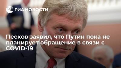 Песков заявил, что президент Путин пока не планирует обращение в связи с COVID-19