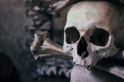 В подвале жилого дома в Улан-Удэ нашли человеческий череп