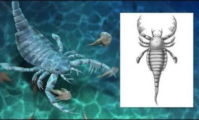 Ученые обнаружили причудливого скорпиона размером с собаку (Фото)