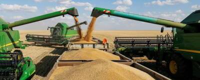 В России собрали более 115 млн тонн зерна