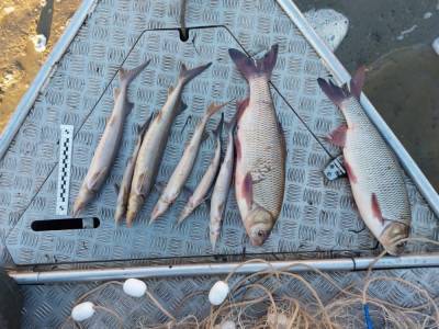 В ХМАО поймали пятерых браконьеров с уловом стерляди
