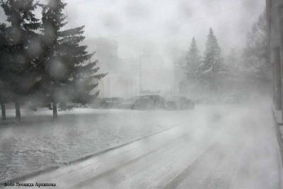 МЧС предупреждает курганцев об ухудшении погоды из-за мокрого снега и ветра до 15 м/с