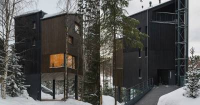 ФОТО. В российских лесах построили необычный дом "на ногах"