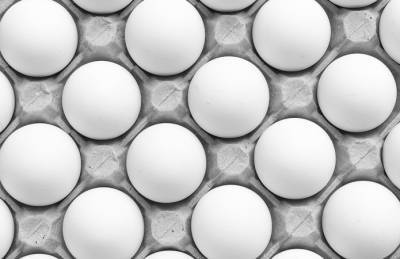 Украинские птицефабрики на четверть сократили производство яиц - agroportal.ua - Украина