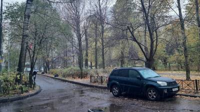 Синоптик Леус предупредил петербуржцев о дожде с мокрым снегом в среду