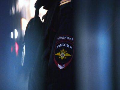 В Москве полицейские пришли домой к сторонникам Либертарианской партии