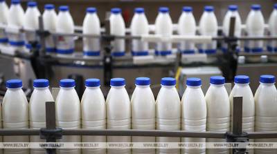 Производство молока в Беларуси за пять лет выросло более чем на 10%
